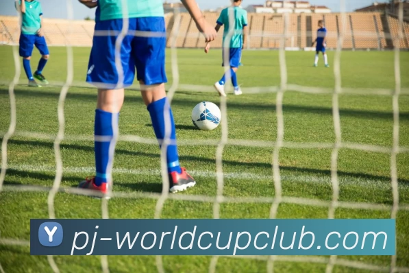 世界杯体育投注平台生态图